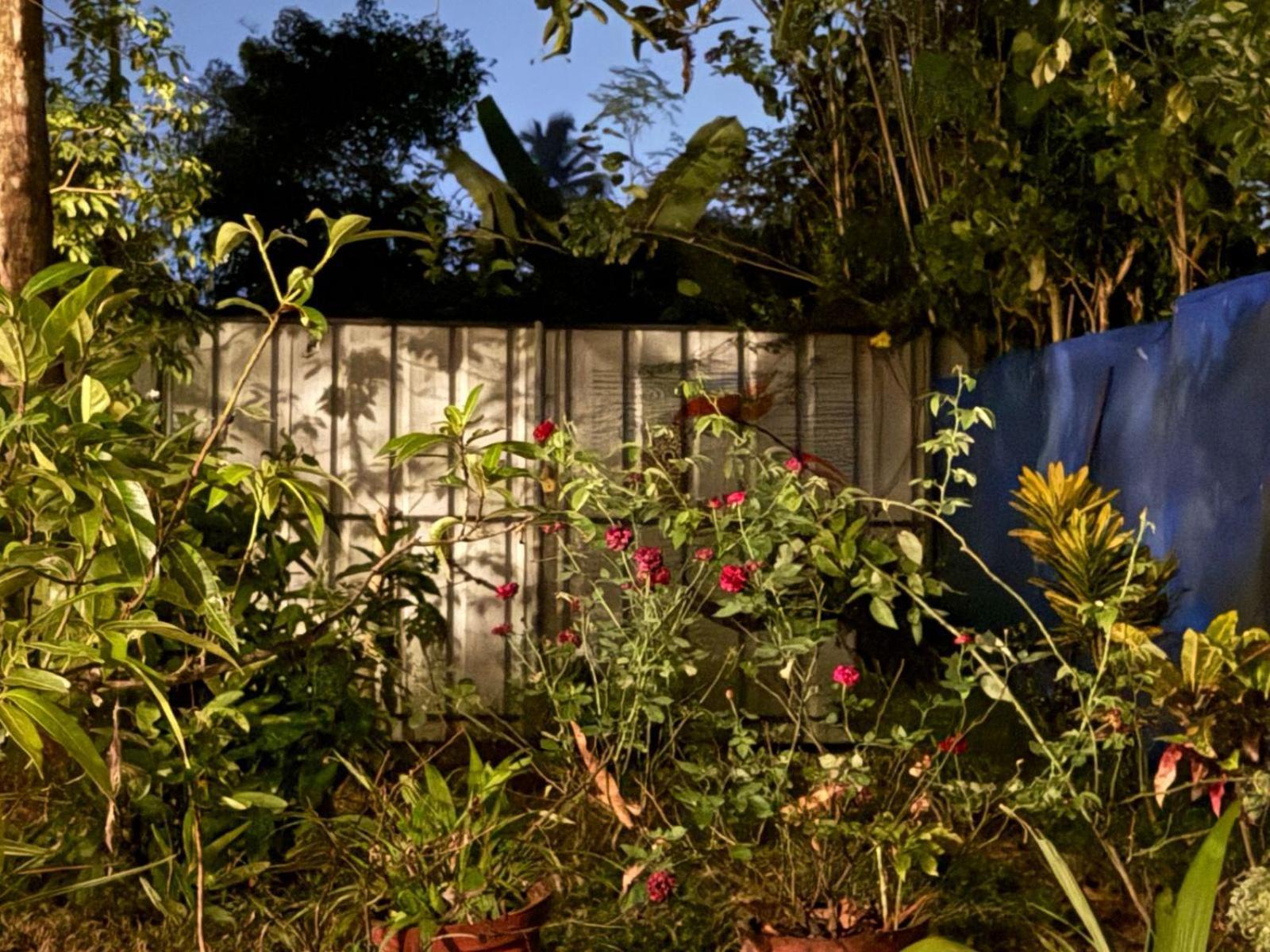 Marari Adonis Beach Villa Mararikulam Exteriör bild
